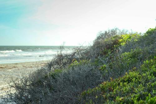 1411 West Beach Villa