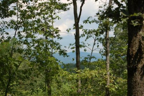 Country Dreams- Mtn View Near Ocoee River