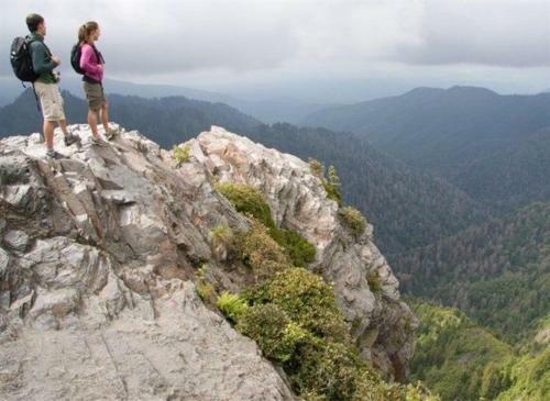 Mountain Dew - 2 Bedrooms, 2 Baths, Sleeps 4 Cabin