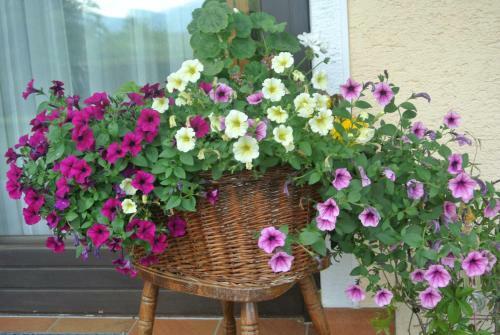 Bed & Breakfast Pension Windinger