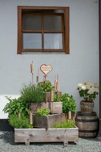 Agroturismo Pension Schmiderer - Vorderkasbichlhof