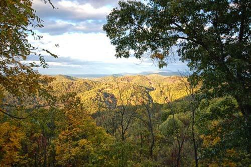 Awesome View