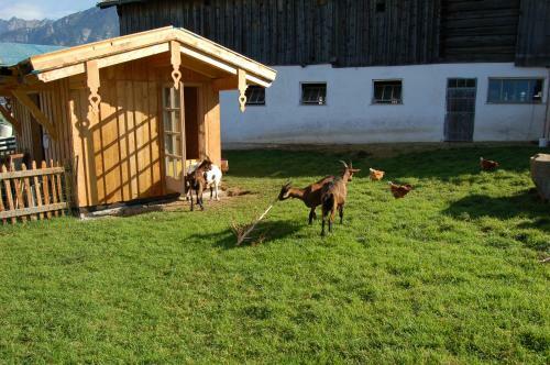 Agroturismo Stillinghof