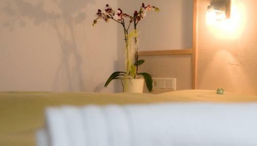 Bed & Breakfast Pension Dorfplatzl