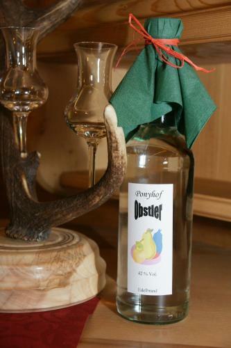 Hotel Feriendorf Ponyhof