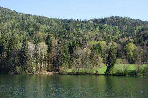 Hostal Landgasthof Trattnig