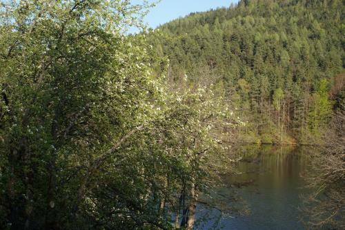 Hostal Landgasthof Trattnig