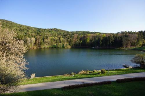 Hostal Landgasthof Trattnig