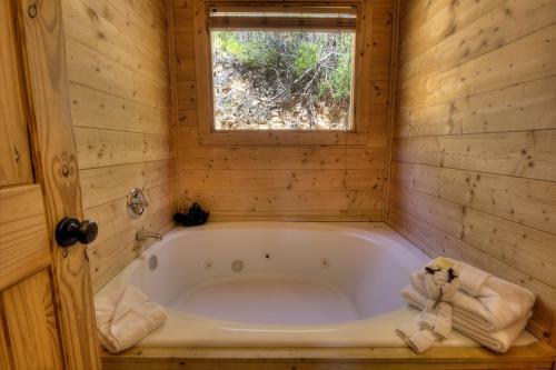 Grandpa Bear's View #233 By Aunt Bug's Cabin Rentals