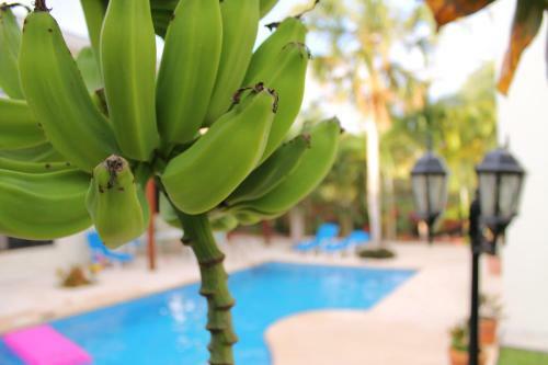 Villa Green Oasis Home Boutique