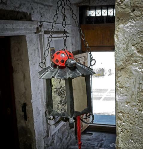 Hostal Bubamara