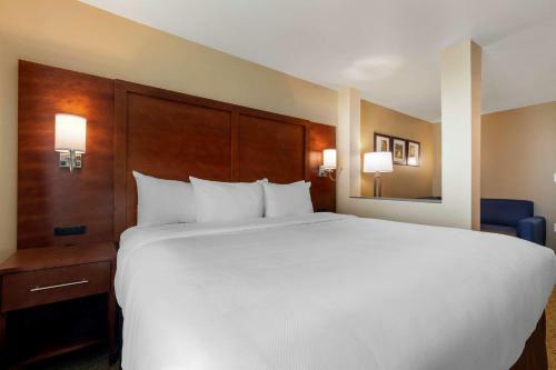Hotel Comfort Inn & Suites