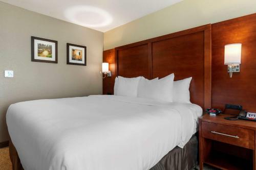 Hotel Comfort Inn & Suites