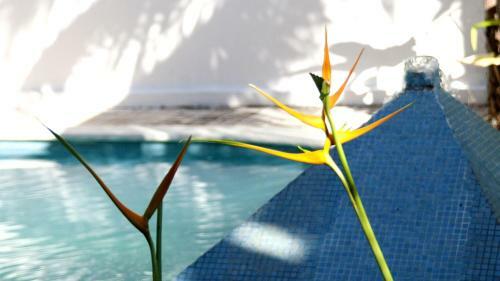 Apartamentos Blueberry Luxury Condo Tulum