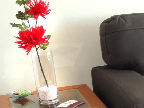 Apartamento Barcel� Suites Providencia I