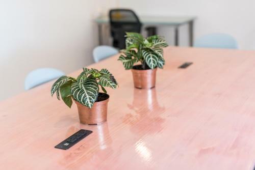 Hostal Flamingo Hostel & Coworking