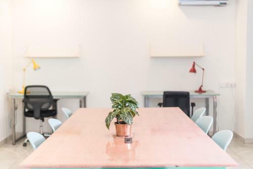 Hostal Flamingo Hostel & Coworking
