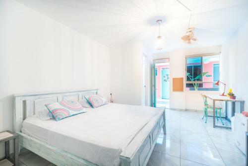 Hostal Flamingo Hostel & Coworking