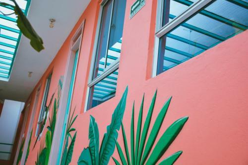 Hostal Flamingo Hostel & Coworking