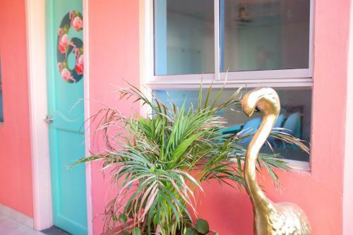 Hostal Flamingo Hostel & Coworking