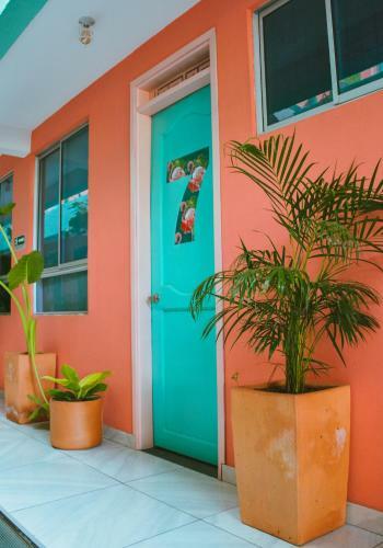 Hostal Flamingo Hostel & Coworking