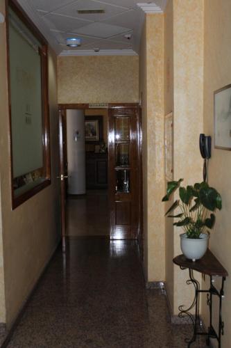 Hotel Albohera