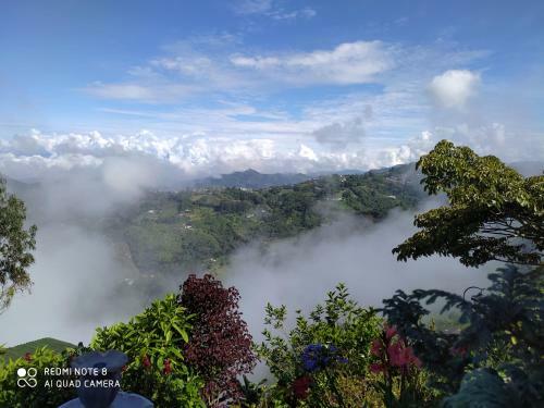 Hostal Mirador Finca Morrogacho