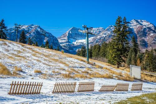 Frostwood Gondola #1