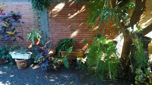 Posada Portal Del Iguazu