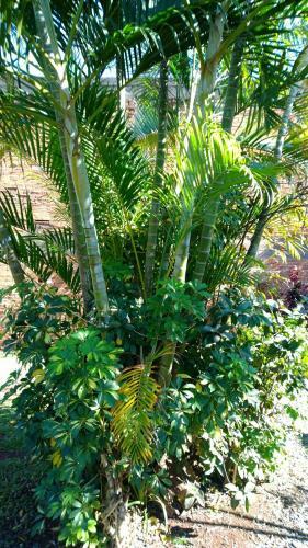 Posada Portal Del Iguazu