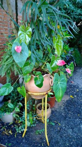 Posada Portal Del Iguazu