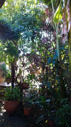 Posada Portal Del Iguazu