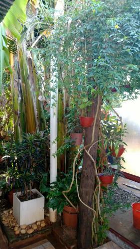 Posada Portal Del Iguazu