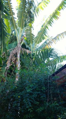 Posada Portal Del Iguazu