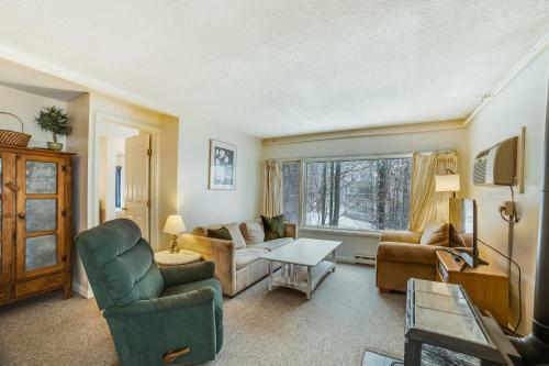 Mountainside Resort D302