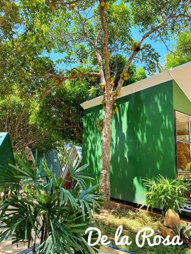 Apartamento Homestay de La Rosa - C�n ??o
