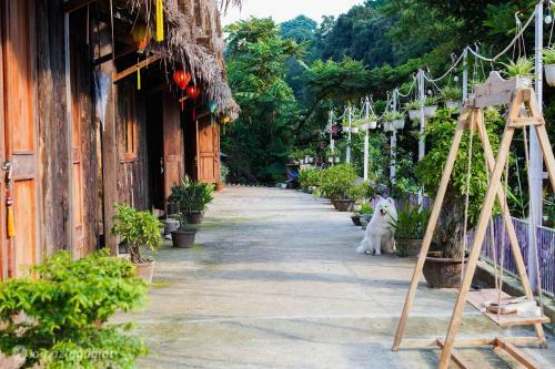 Lodge Chang's Village