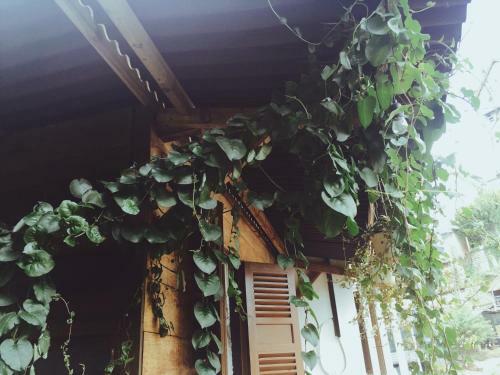 N?u M?t Mai - Homestay ?� L?t