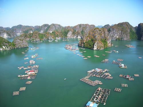 Indochine Cruise