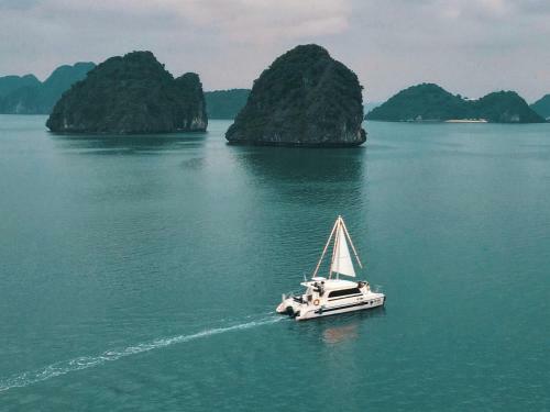 Scarlet Pearl Cruises