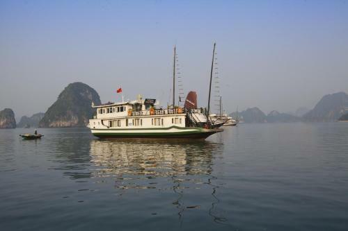 White Dolphin Cruises
