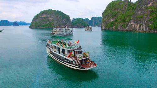 White Dolphin Cruises