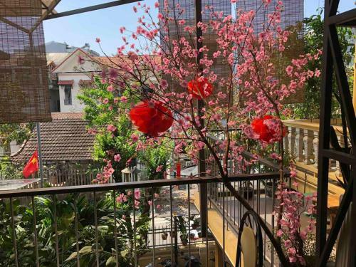 Hotel Q?homestay