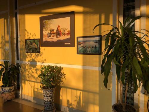 Hotel Q?homestay