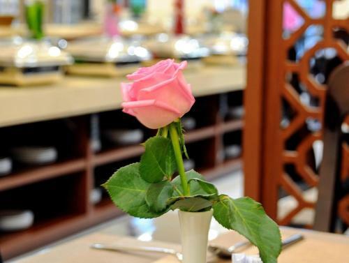 Sunflower Hotel Ph� Y�n
