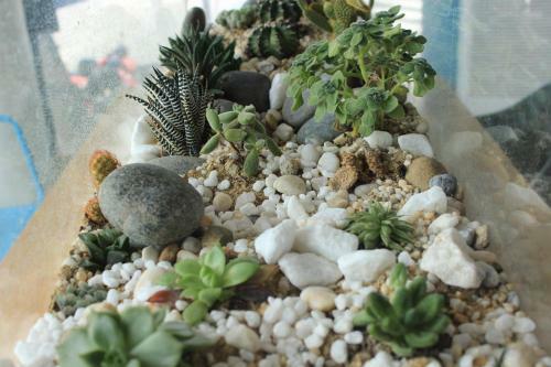 Ibeach Centre Hotel And Homestay