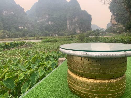 Lodge Trang An Memory Homestay