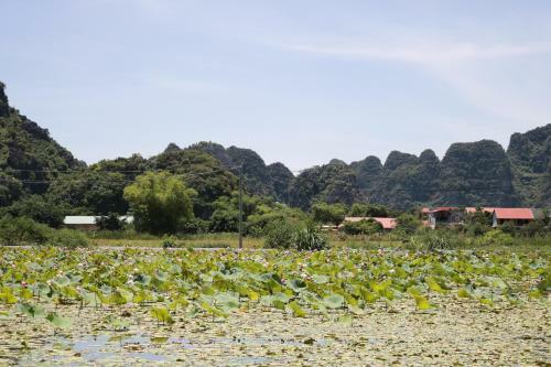 Bed & Breakfast Hang Mua Valley Homestay
