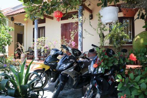 Hang Mua Homestay