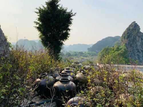 Trang An Mountainside Homestay